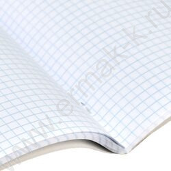 Тетрадь  48л клетка "Кот с уткой" /выб.ТВИН-лак/ ассорти NEW | Фото 4