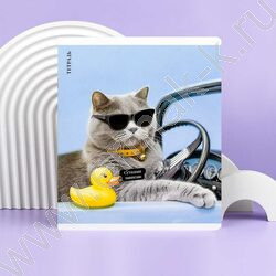 Тетрадь  48л клетка "Кот с уткой" /выб.ТВИН-лак/ ассорти NEW | Фото 7