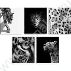 Тетрадь  48л клетка "Монохромный леопард" /выб.ТВИН-лак/ ассорти NEW | Фото 1