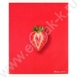 Тетрадь  48л клетка "Вкусные цвета" /конгрев + выборочный ТВИН УФ-лак/ ассорти NEW | Фото 2