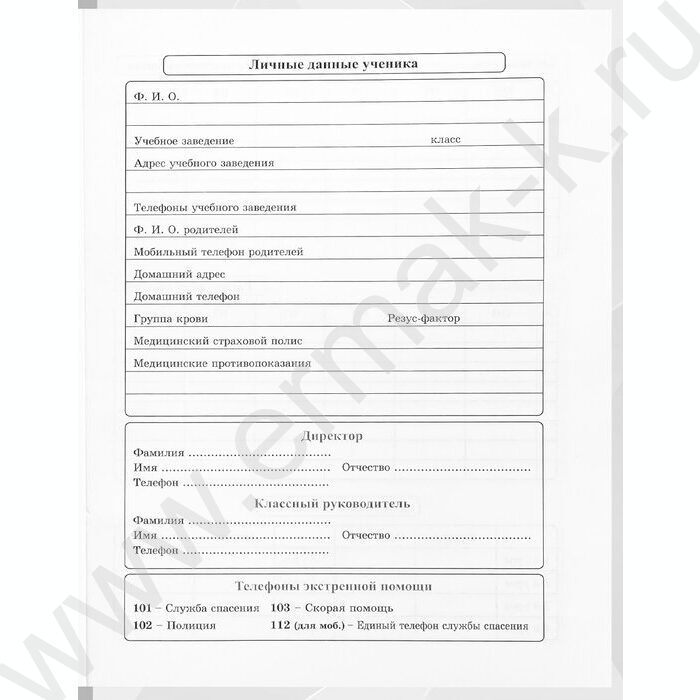 Дневник 1-11кл. /тв.обл./глянец/тиснение холст "Герб и флаг-3" NEW | Фото 4