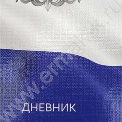 Дневник 1-11кл. /тв.обл./глянец/тиснение холст "Герб и флаг-3" NEW | Фото 9