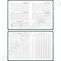 Дневник 1-11кл. /тв.обл./мат.лам. "Оттенки зелёного" NEW | Фото 5