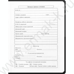 Дневник 1-11кл. /тв.обл./мат.лам. "Оттенки серого-1" NEW | Фото 3