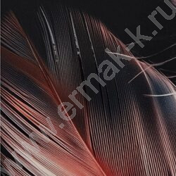 Дневник 5-11кл. /тв.обл./выб.лак. "Красивые перья-1" NEW | Фото 8