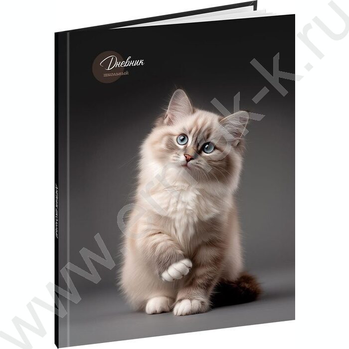 Дневник 5-11кл. /тв.обл./выб.лак. "Милый котик-5" NEW | Фото 1