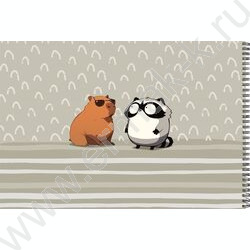 Альбом д/рисования-спираль 40л "Капибара и енот" /мат.лам, выб.лак/ NEW | Фото 3