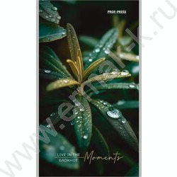 Блокнот  24л А6 "Растительная тема-1" ассорти NEW | Фото 2