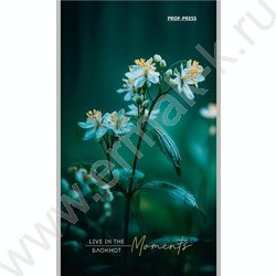 Блокнот  24л А6 "Растительная тема-1" ассорти NEW | Фото 3