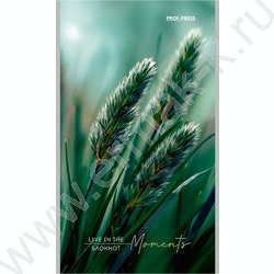 Блокнот  24л А6 "Растительная тема-1" ассорти NEW | Фото 4