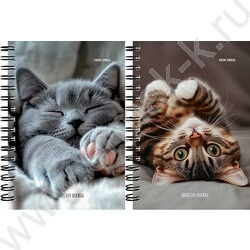 Зап. книжка 120л А6 спираль "Милые котики-6" NEW | Фото 1