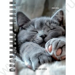 Зап. книжка 120л А6 спираль "Милые котики-6" NEW | Фото 3