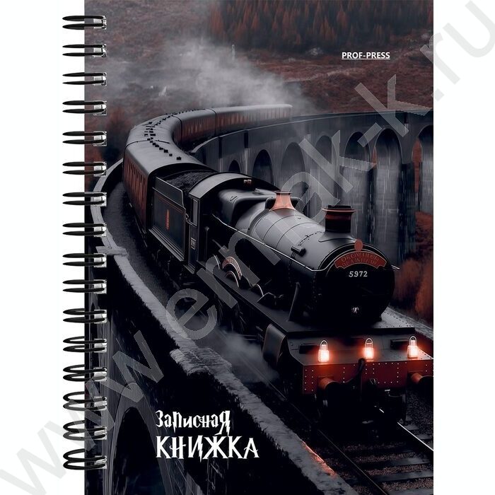 Зап. книжка 120л А6 спираль "Школа магии" NEW | Фото 3