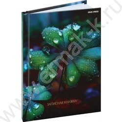 Зап. книжка  80л А6 тв.обл. "Красивая природа-6" /глянец/лен/ NEW | Фото 1