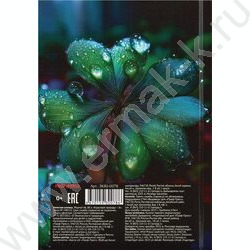 Зап. книжка  80л А6 тв.обл. "Красивая природа-6" /глянец/лен/ NEW | Фото 4