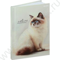 Зап. книжка  80л А6 тв.обл. "Красивые коты-2" /глянец/лен/ NEW | Фото 1