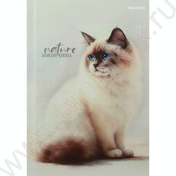 Зап. книжка  80л А6 тв.обл. "Красивые коты-2" /глянец/лен/ NEW | Фото 2