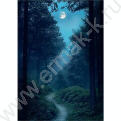 Зап. книжка  96л А6 тв.обл. "Лунные пейзажи-1" /глянец/ NEW | Фото 4