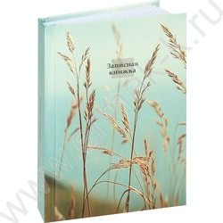 Зап. книжка 160л А6 тв.обл. "Aesthetics-1" /глянец/ NEW | Фото 1