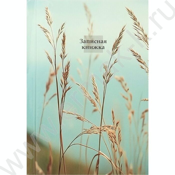 Зап. книжка 160л А6 тв.обл. "Aesthetics-1" /глянец/ NEW | Фото 2