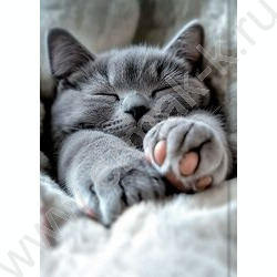 Зап. книжка 160л А6 тв.обл. "Милые котики-9" /глянец/ NEW | Фото 4