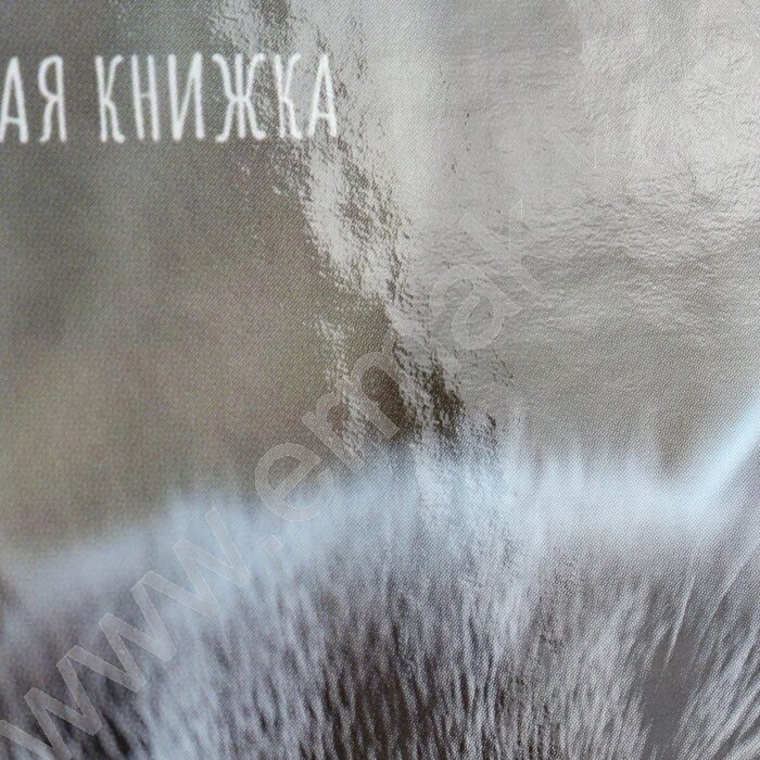 Зап. книжка 160л А6 тв.обл. "Милые котики-9" /глянец/ NEW | Фото 5