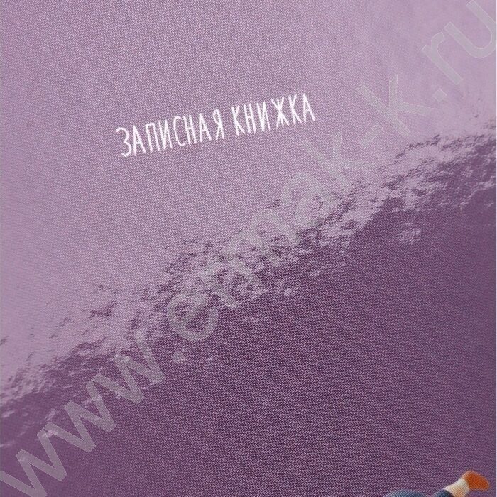 Зап. книжка  48л А7 тв.обл. "Девочка с животными-1" /глянец/ NEW | Фото 5
