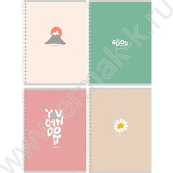 Тетрадь  80л клетка/спираль/двойная "Минималистичный дизайн-3" ассорти NEW | Фото 1