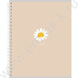 Тетрадь  80л клетка/спираль/двойная "Минималистичный дизайн-3" ассорти NEW | Фото 6