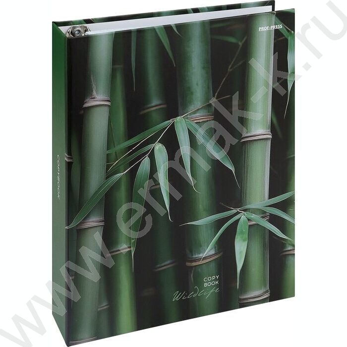 Тетрадь  80л клетка/кольца "Зеленый бамбук" NEW | Фото 1