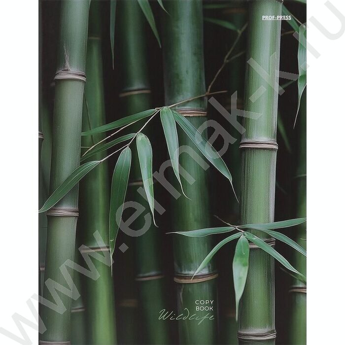 Тетрадь  80л клетка/кольца "Зеленый бамбук" NEW | Фото 2