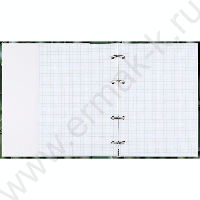 Тетрадь  80л клетка/кольца "Зеленый бамбук" NEW | Фото 3