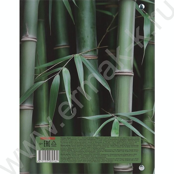 Тетрадь  80л клетка/кольца "Зеленый бамбук" NEW | Фото 5