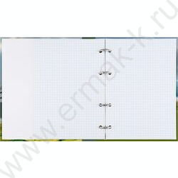 Тетрадь  80л клетка/кольца "Красивая природа-1" NEW | Фото 3