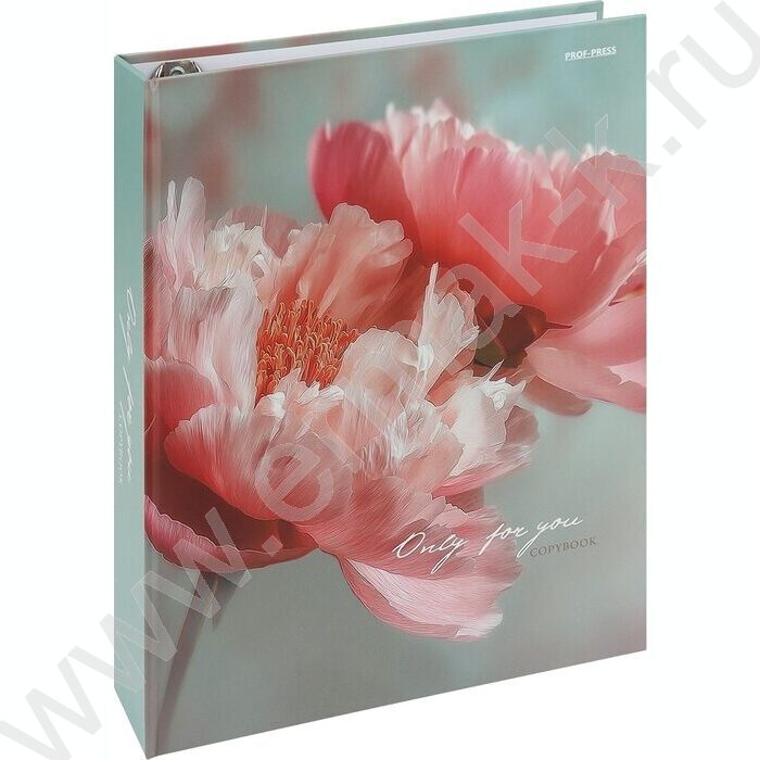 Тетрадь  80л клетка/кольца "Нежные цветы-18" NEW | Фото 1