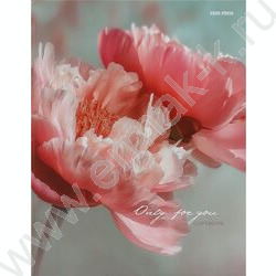 Тетрадь  80л клетка/кольца "Нежные цветы-18" NEW | Фото 2