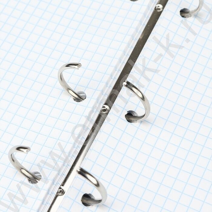 Тетрадь  80л клетка/кольца "Нежные цветы-18" NEW | Фото 4