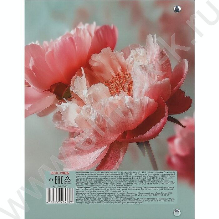 Тетрадь  80л клетка/кольца "Нежные цветы-18" NEW | Фото 5