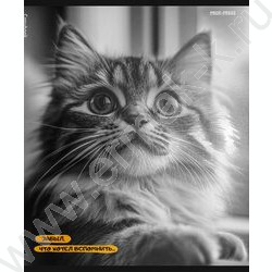 Тетрадь  48л клетка "Забавные коты-5" /твин-лак/ 5видов NEW | Фото 3