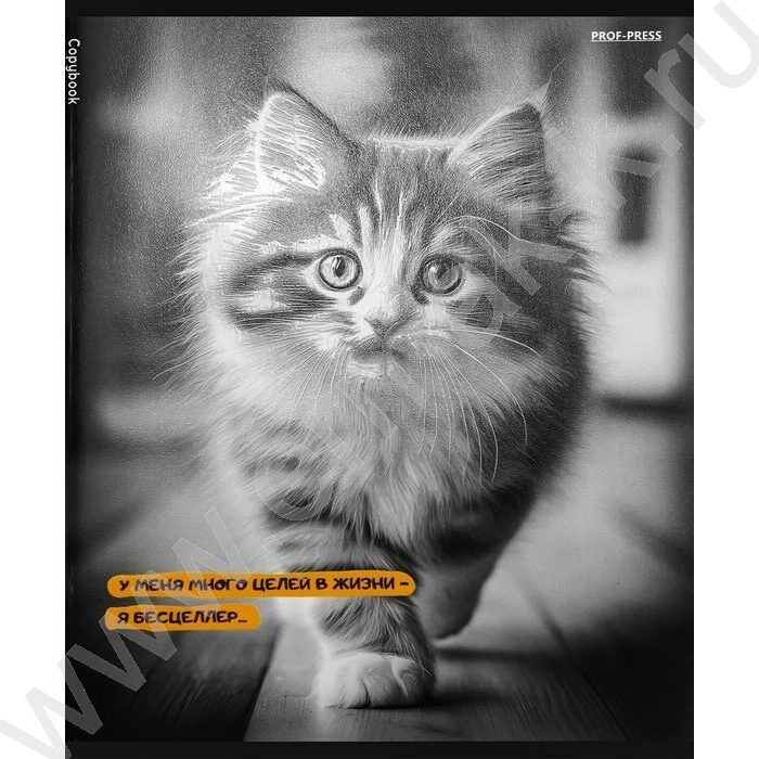 Тетрадь  48л клетка "Забавные коты-5" /твин-лак/ 5видов NEW | Фото 5