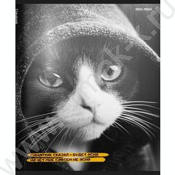 Тетрадь  48л клетка "Забавные коты-5" /твин-лак/ 5видов NEW | Фото 7