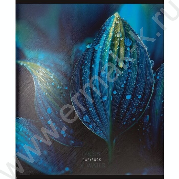 Тетрадь  48л клетка "Красивая природа-5" /твин-лак/ 5видов NEW | Фото 3