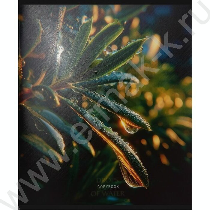 Тетрадь  48л клетка "Красивая природа-5" /твин-лак/ 5видов NEW | Фото 4