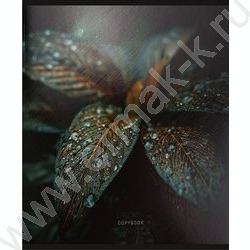 Тетрадь  48л клетка "Красивая природа-5" /твин-лак/ 5видов NEW | Фото 5