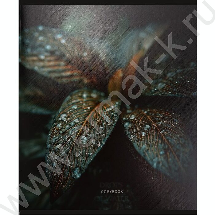 Тетрадь  48л клетка "Красивая природа-5" /твин-лак/ 5видов NEW | Фото 5