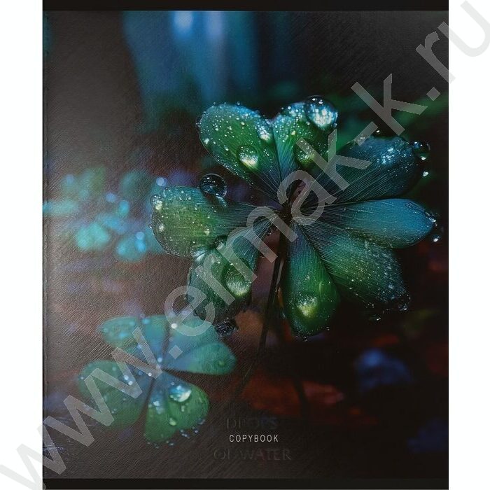 Тетрадь  48л клетка "Красивая природа-5" /твин-лак/ 5видов NEW | Фото 7