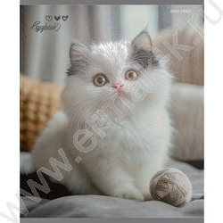 Тетрадь  48л клетка "Милые коты-6" /твин-лак/ 5видов NEW | Фото 7