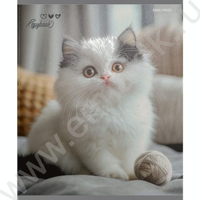 Тетрадь  48л клетка "Милые коты-6" /твин-лак/ 5видов NEW | Фото 7