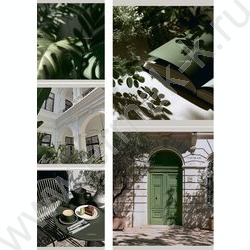 Тетрадь  96л клетка "Благородный зеленый" / софт-тач/ ассорти NEW | Фото 1