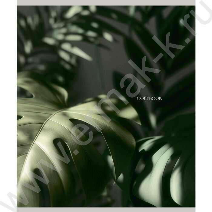 Тетрадь  96л клетка "Благородный зеленый" / софт-тач/ ассорти NEW | Фото 4